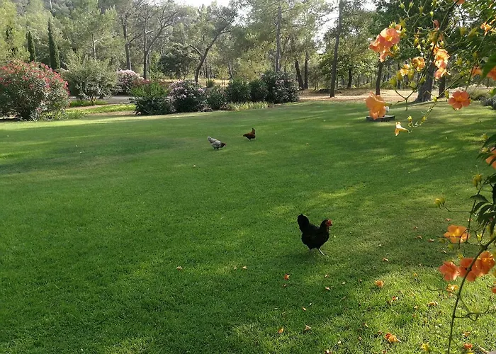 Bed and Breakfast La Genestiere