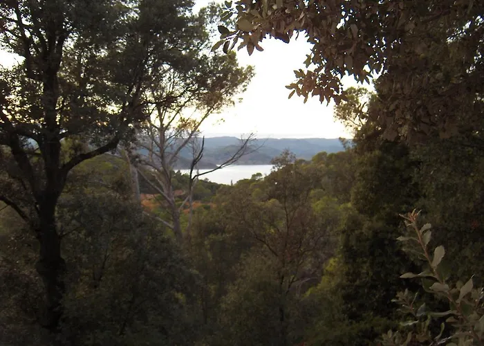 La Genestiere Clermont-lʼHérault